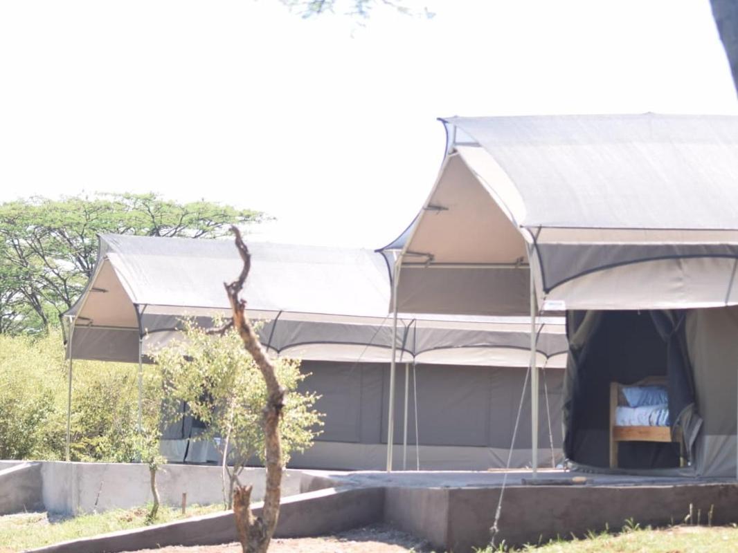 Bed and Breakfast Maasai Mara Safari Camp In Kenya Sekenani Exterior foto